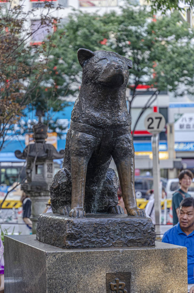91 - Tokyo - barrio de Shibuya - estatua del perro Hachiko